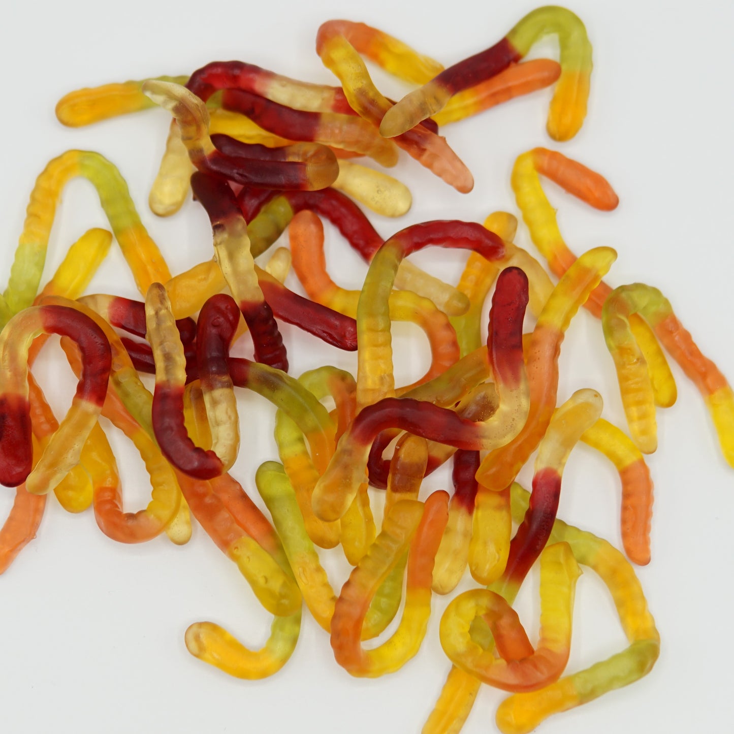 Jelaxy - Worms